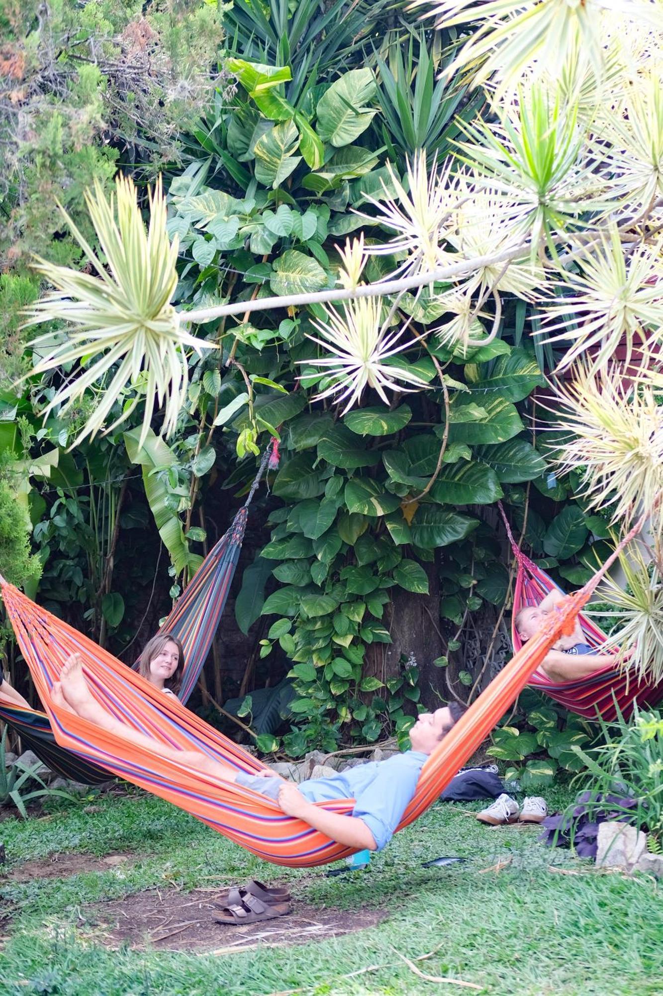 La Palmera Hostel Cali Eksteriør billede